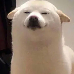 Meet your Posher, Sandy